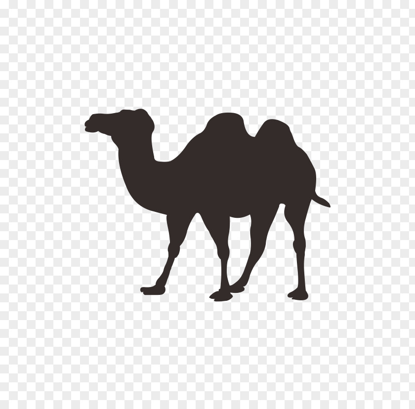 Camel Bactrian Dromedary Icon PNG