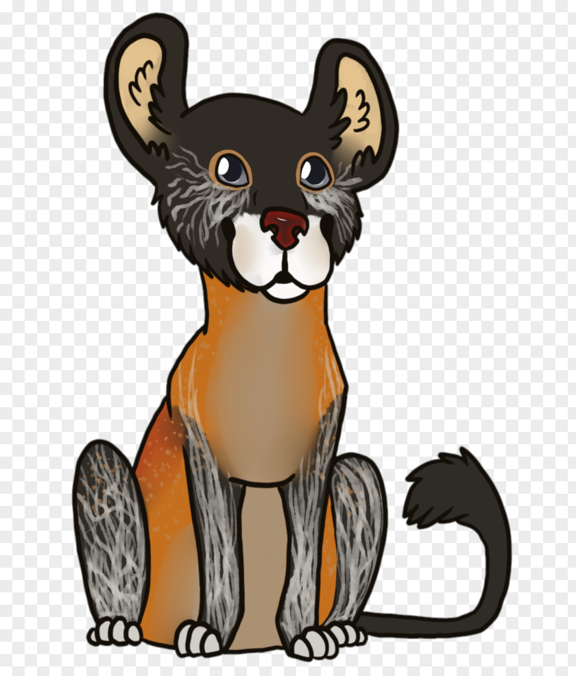 Cat Whiskers Mouse Bear Dog PNG