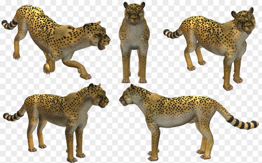 Cheetah Spore Creatures Video Game Lion PNG