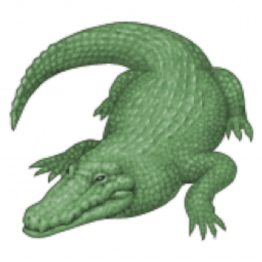 Crocodile Alligator IPhone Emoji Quiz PNG