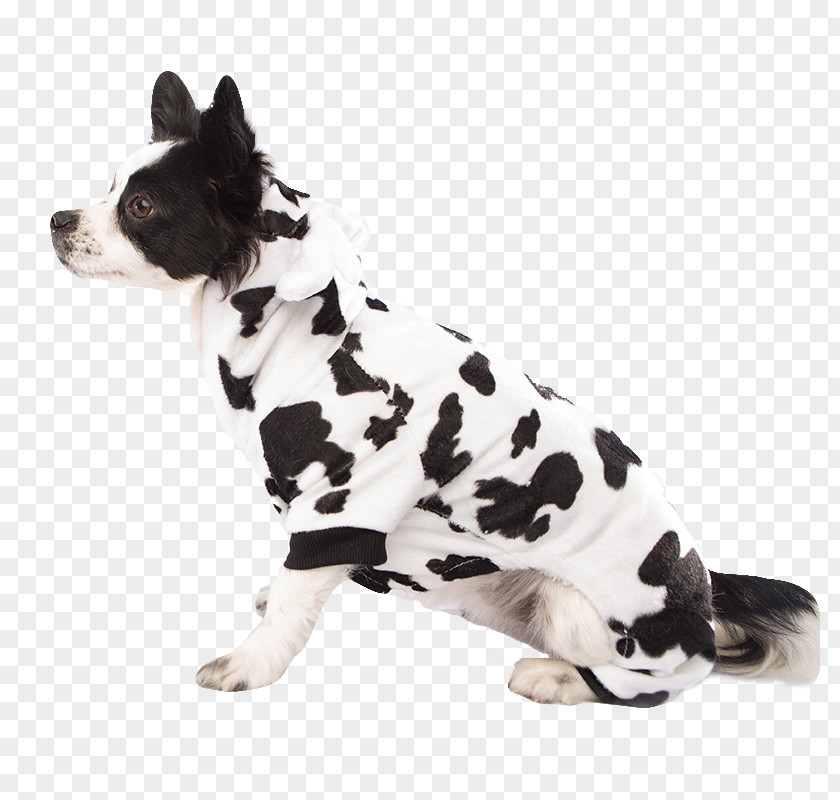 Dog Breed Non-sporting Group Companion (dog) PNG