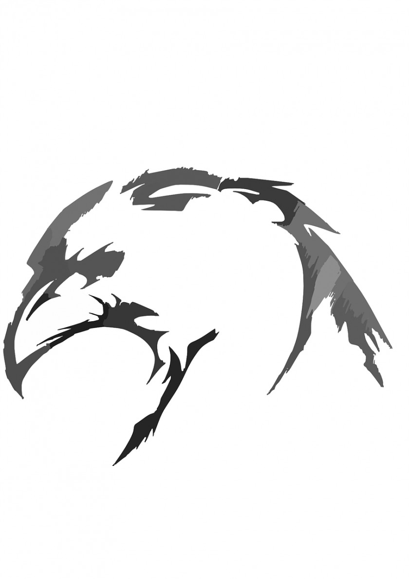 Eagle Bald Clip Art PNG