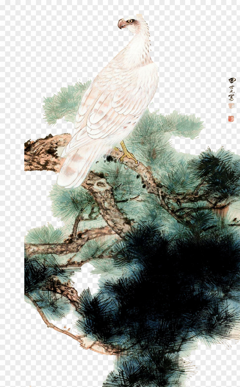 Eagle U5de5u7b14u82b1u9e1fu753b Bird-and-flower Painting Chinese Illustration PNG