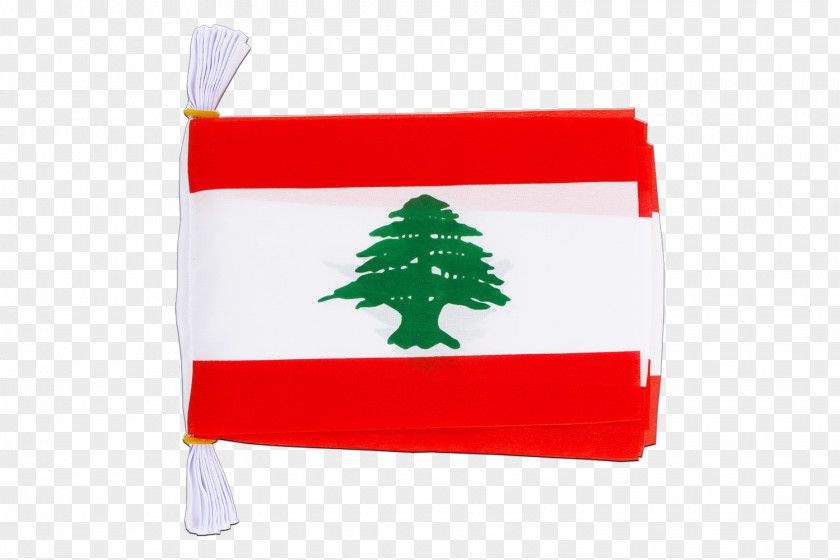 Flag Of Lebanon National Vlaggen Per Land PNG