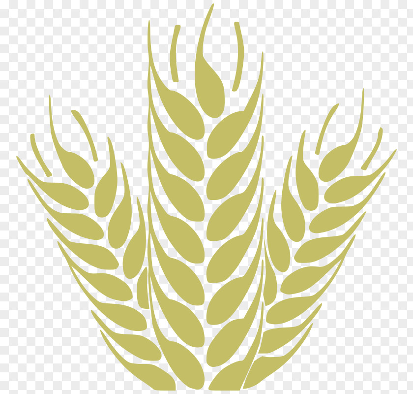 Grain Cliparts Beer Wheat Clip Art PNG