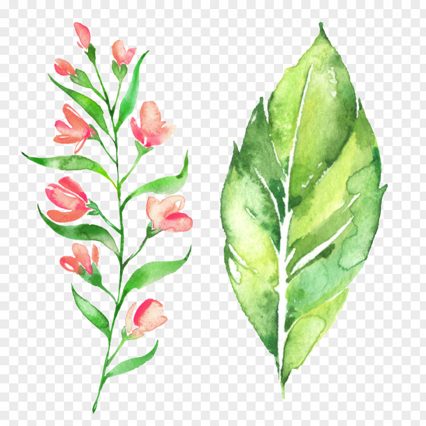 Hand Painted Watercolor Green Leaf Floral Decoration Pattern Drawing Flower PNG