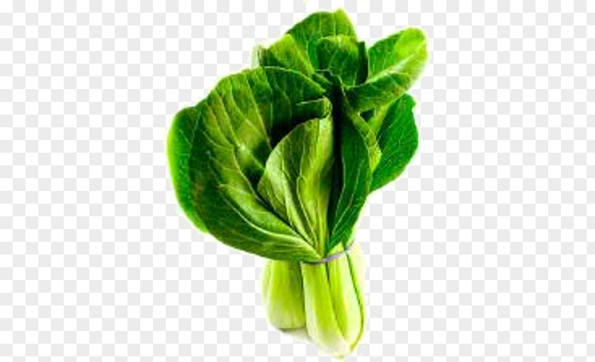 Leaf Vegetable Green Plant PNG
