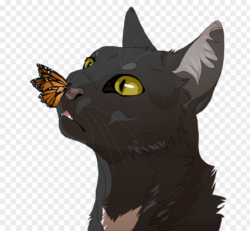 Cat Domestic Short-haired Whiskers Ravenpaw Warriors PNG