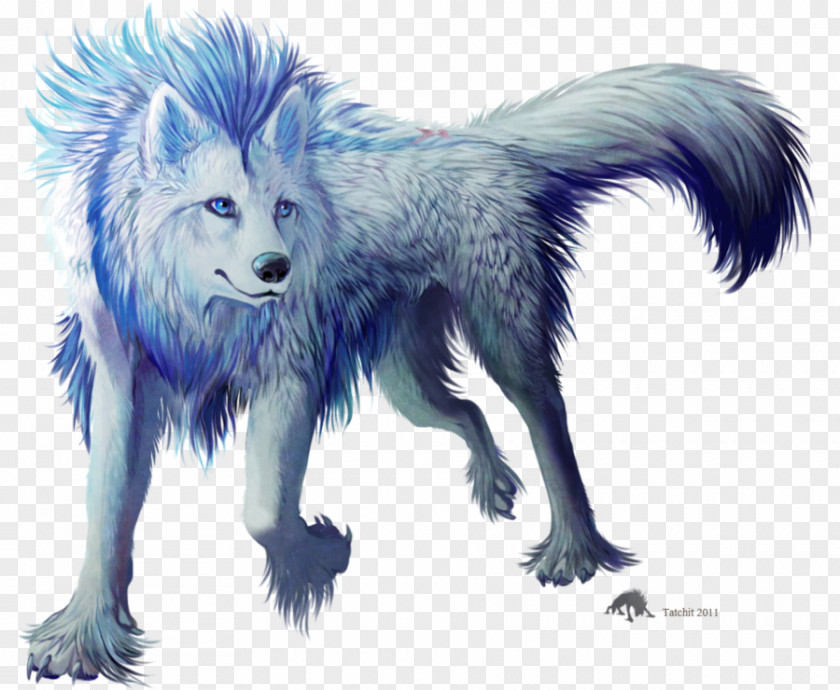 Gray Wolf American Frontier Myth Magic Horse PNG