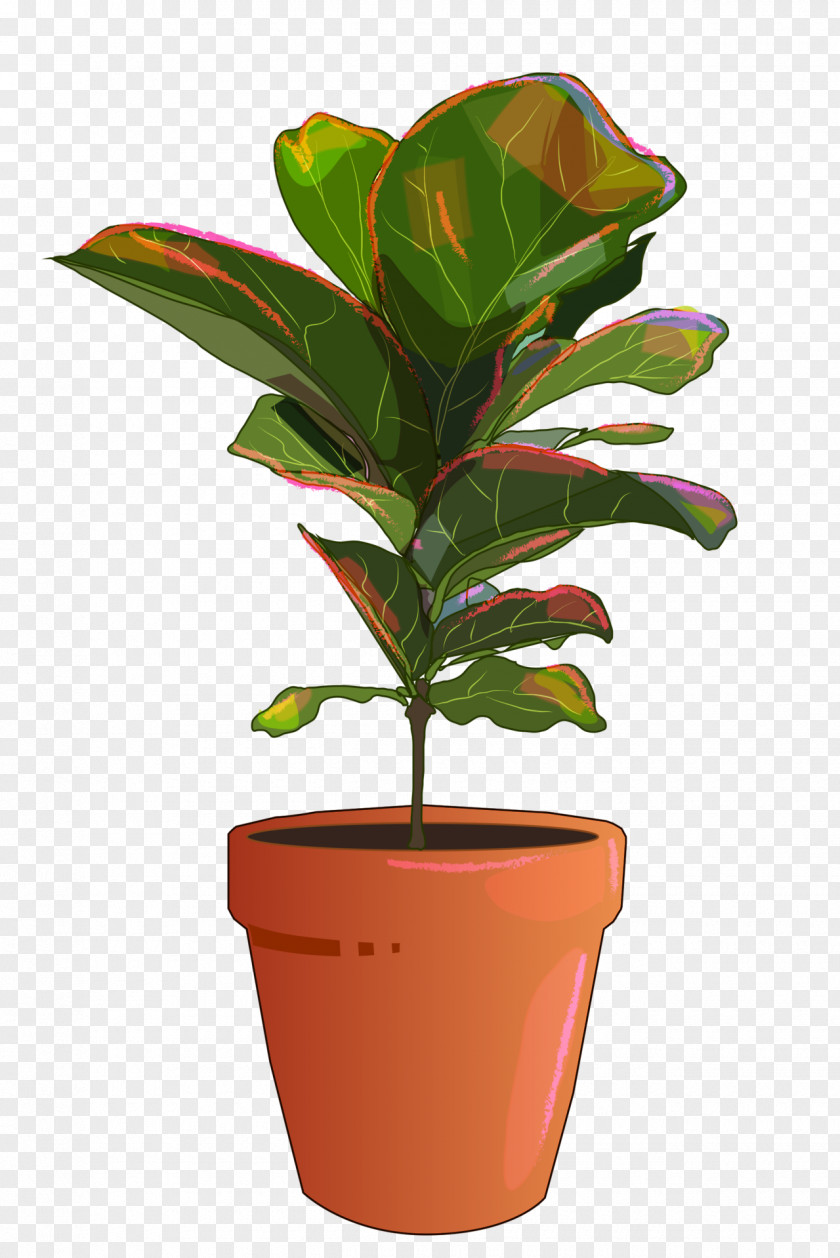 Fig. Leaf Flowerpot Houseplant Plant Stem PNG