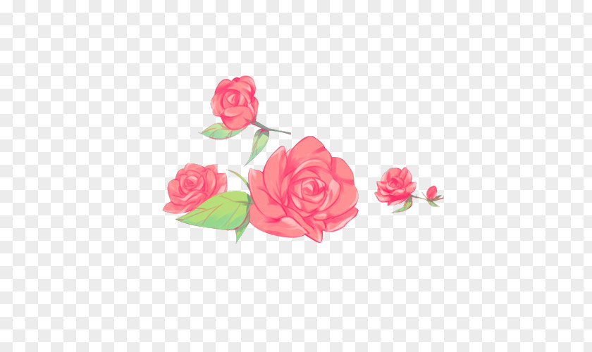 Flower Garden Roses Sticker Cabbage Rose PNG