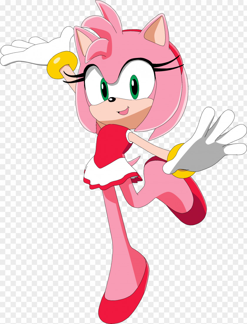 Amy Mario & Sonic At The Olympic Games Riders: Zero Gravity Rio 2016 Rose PNG