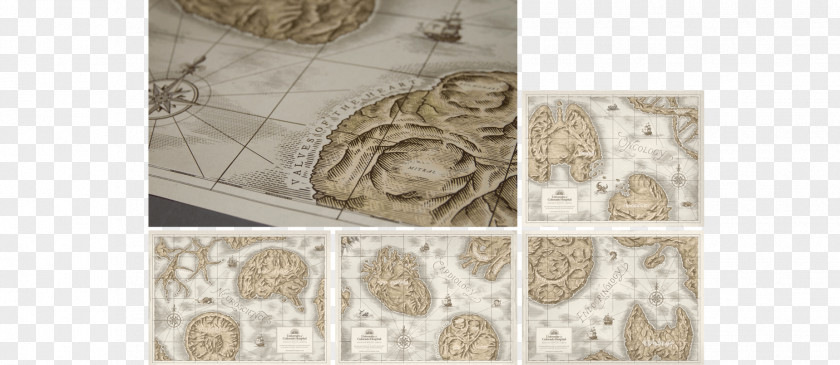 Cactus Creative Material Flooring Central Nervous System Pattern PNG