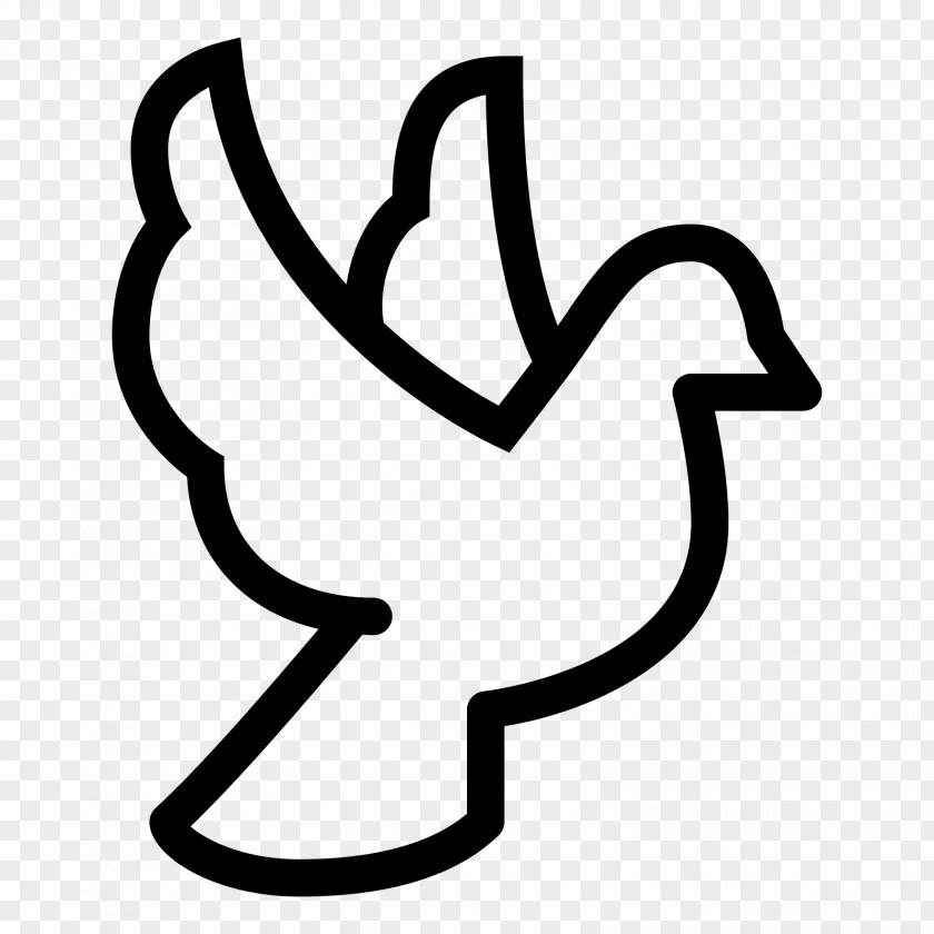 DOVE Columbidae Doves As Symbols PNG