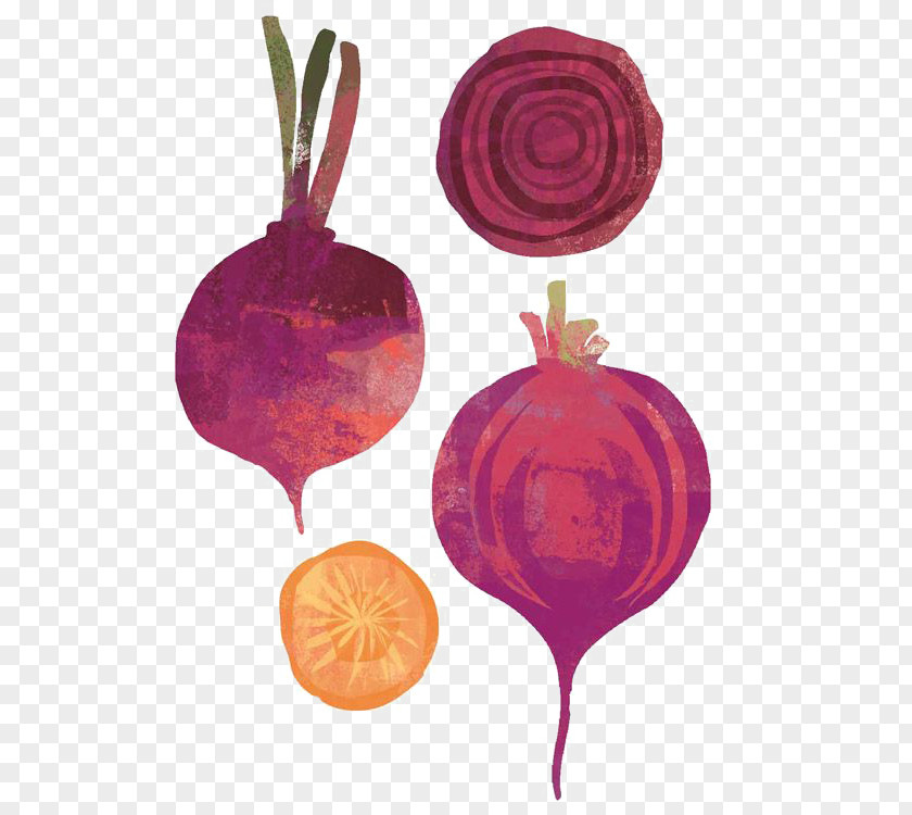 Onion Beetroot Vegetable Shallot Illustration PNG