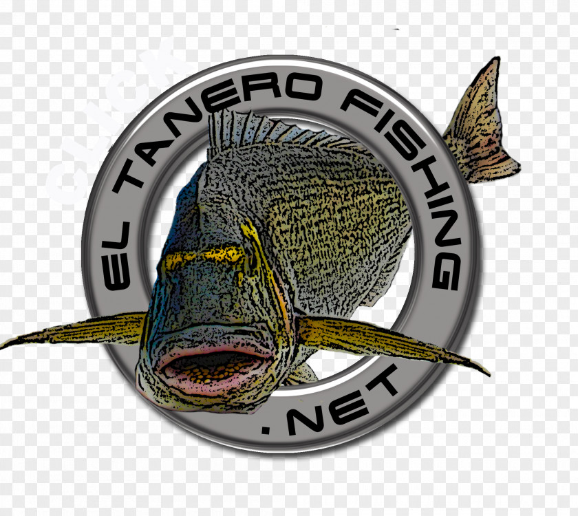 Puntos Blancos Blogger Comptoir Sanitaire Fishing Web Page PNG
