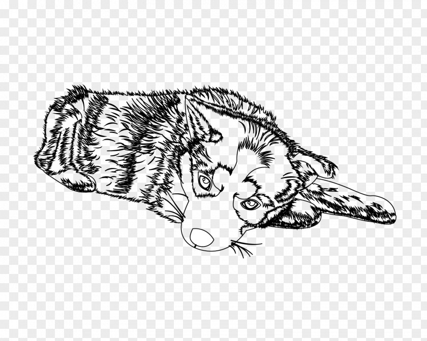 Tiger Whiskers Cat Lion Sketch PNG