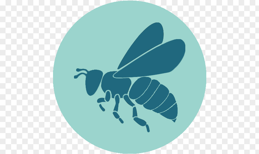 Bee Hornet Decal Sticker Wasp PNG