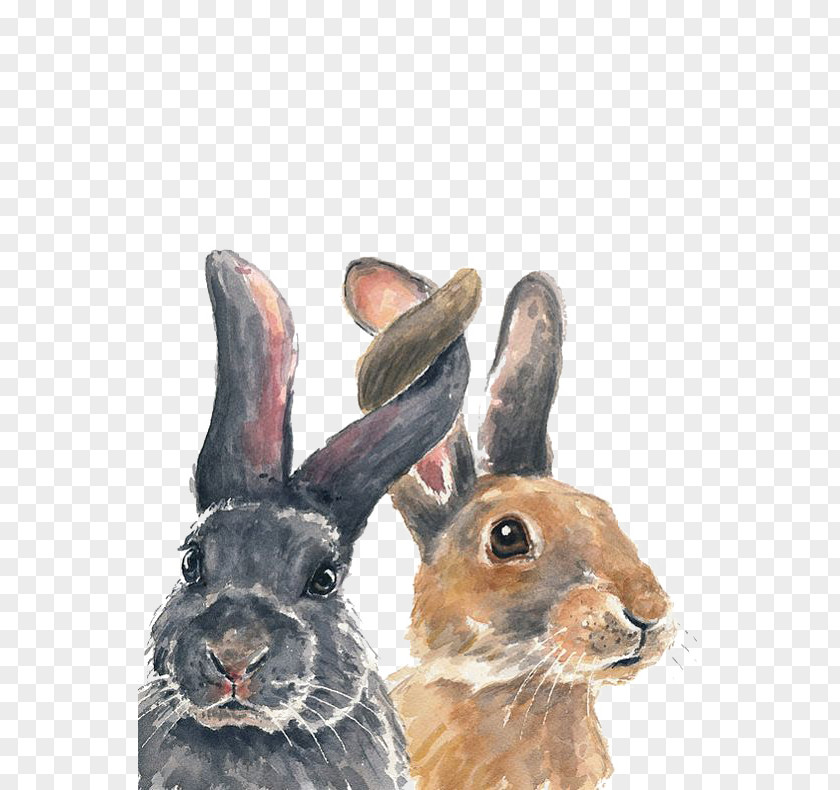 Bunnies PNG