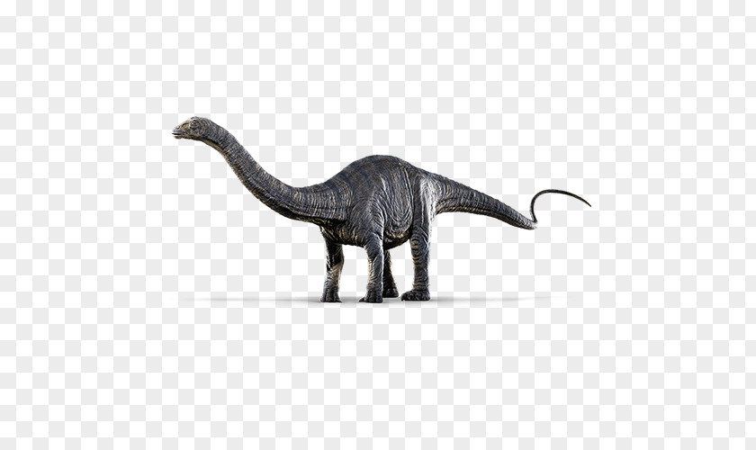 Dinosaur Jurassic World Evolution Park Apatosaurus Brontosaurus Diplodocus PNG