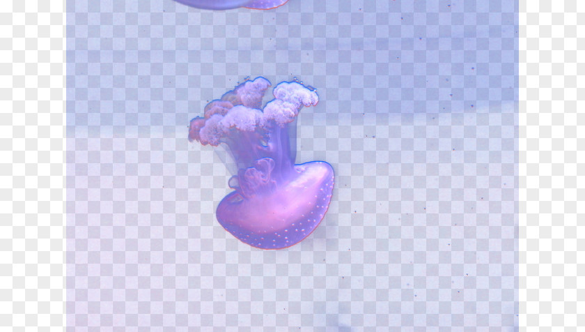 Dream Jellyfish Purple Computer Wallpaper PNG