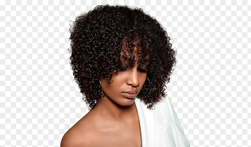 Jerry Curl Hair Wig Jheri Black Brown PNG