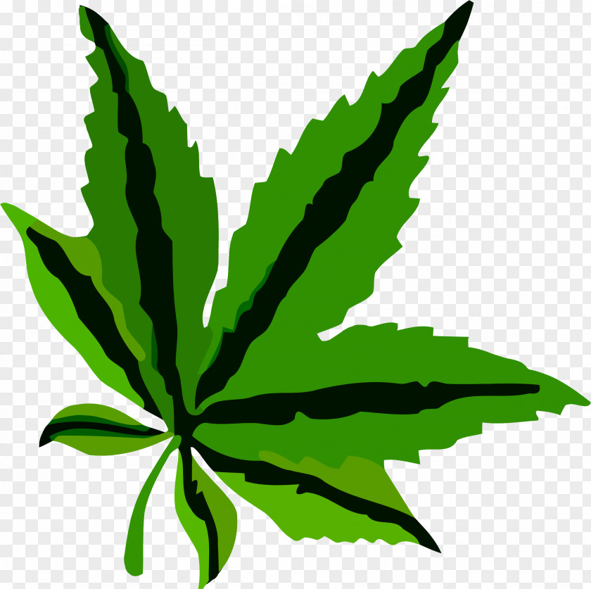 Leaf Cannabis Clip Art PNG