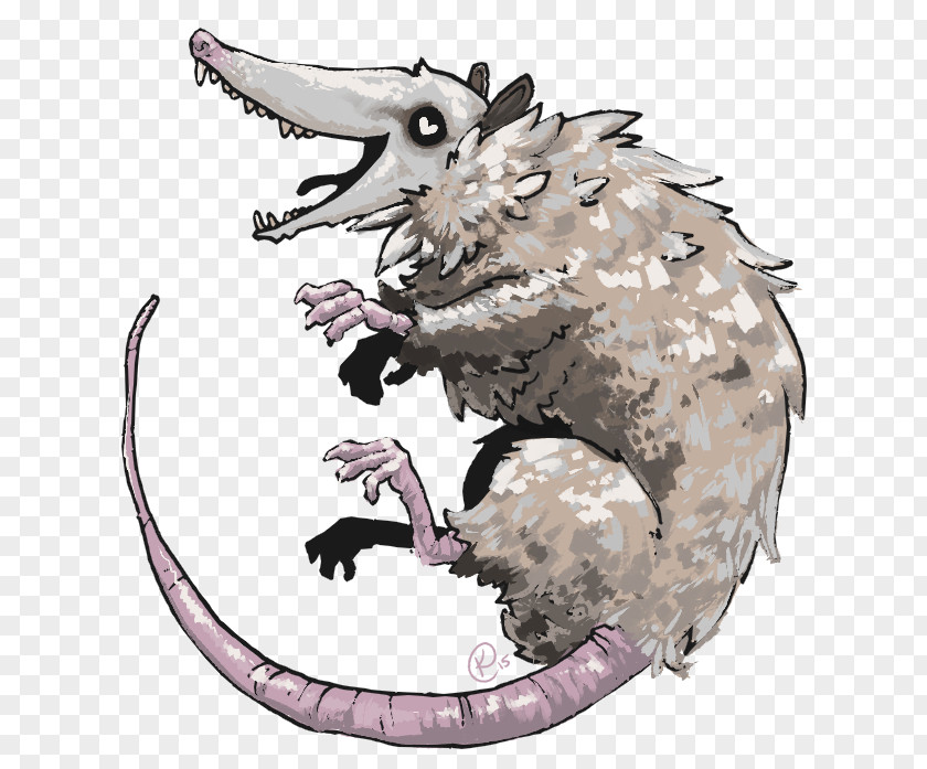Opossum Pacific Crest Trail Sketchbook Snout Carnivora PNG