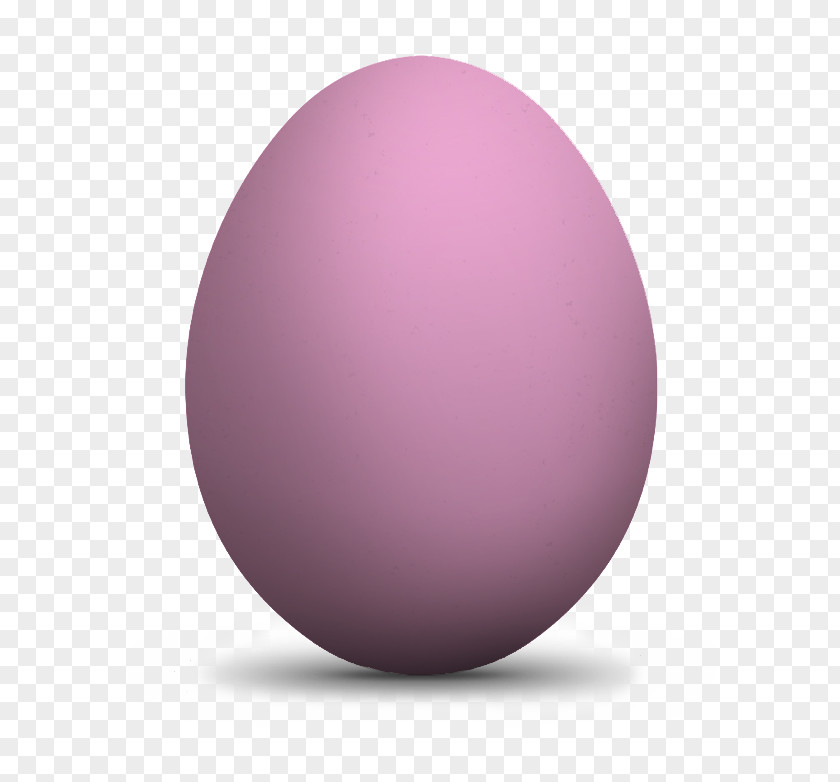 Egg Easter Experience Design PNG