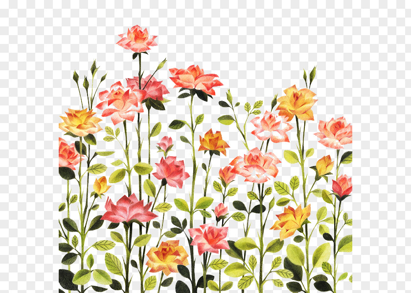 Hand-painted Pattern Rose Bushes Illustration PNG