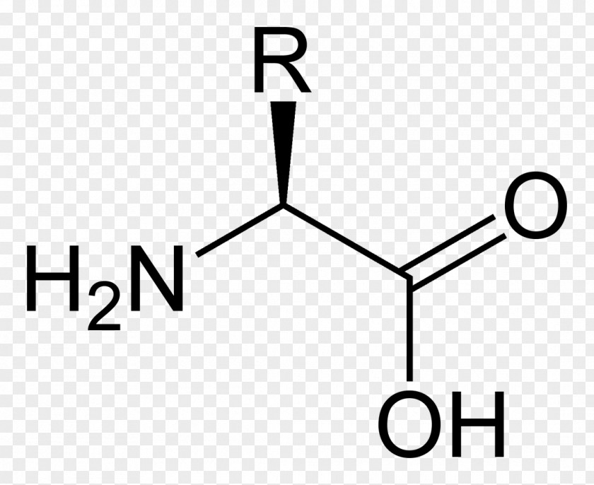 Serine Valine Alanine Amino Acid Tyrosine PNG