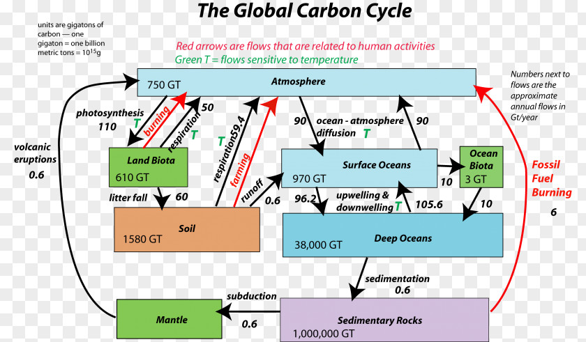 Carbon Cycle Soil Dioxide Flux Water PNG