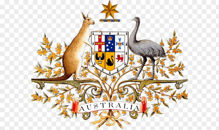 Facebook Sued Over Like Button Coat Of Arms Australia Government Geography PNG