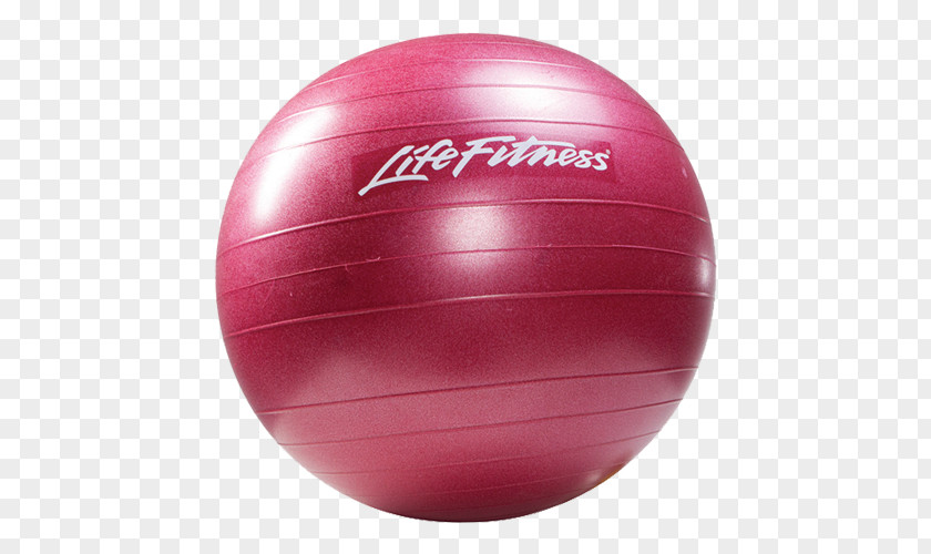 Gym Ball File Exercise Physical Fitness Equipment Life PNG