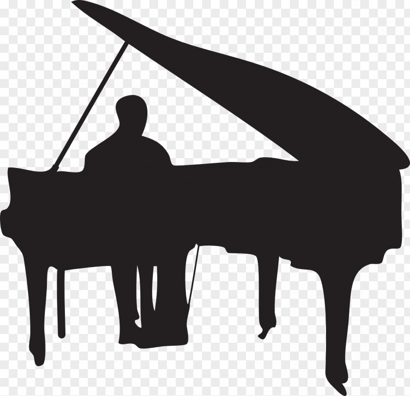 Piano Grand Player Jazz PNG