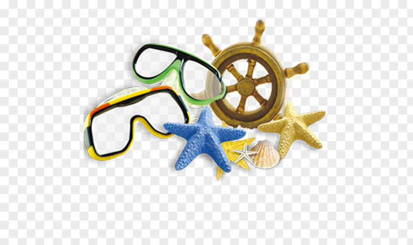 Starfish Shell And Diving Mirror PNG