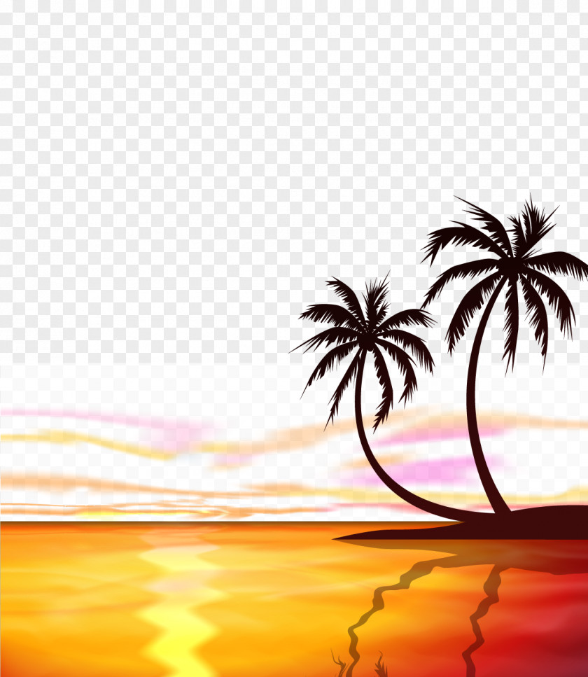 Vector Cartoon Material Sunrise At Sea Sunset Arecaceae Euclidean PNG