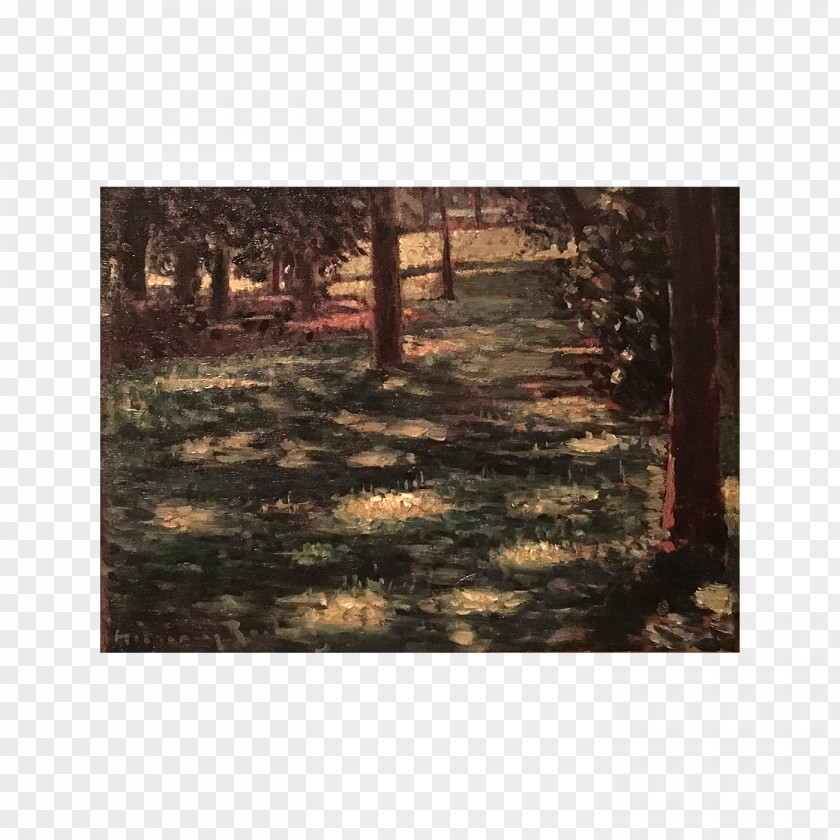 Wood Woodland Landscape Sunlight Painting PNG