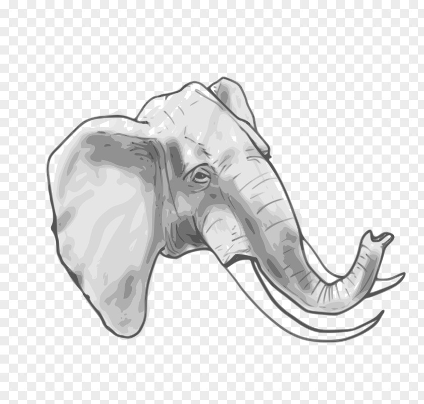 Circus Animal Pictures Elephant Clip Art PNG