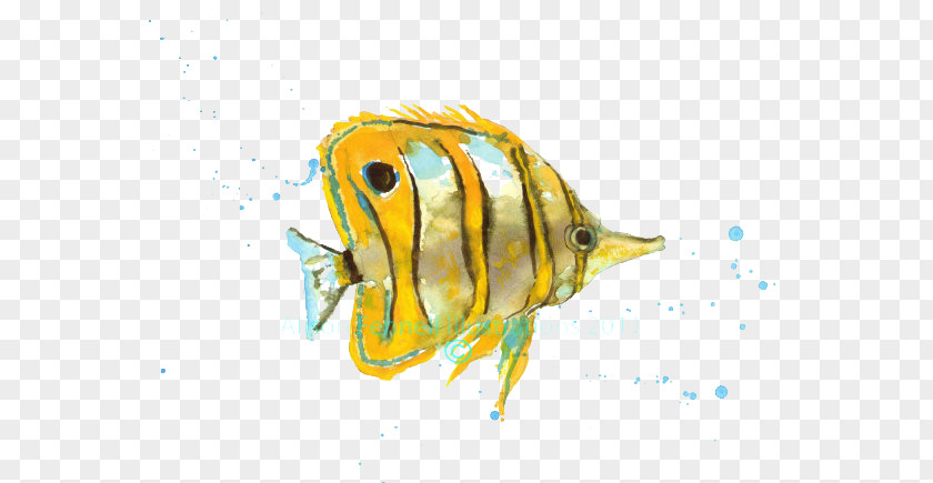 Kiss Yellow Fish Picture Material Watercolor Painting Tropical Art PNG