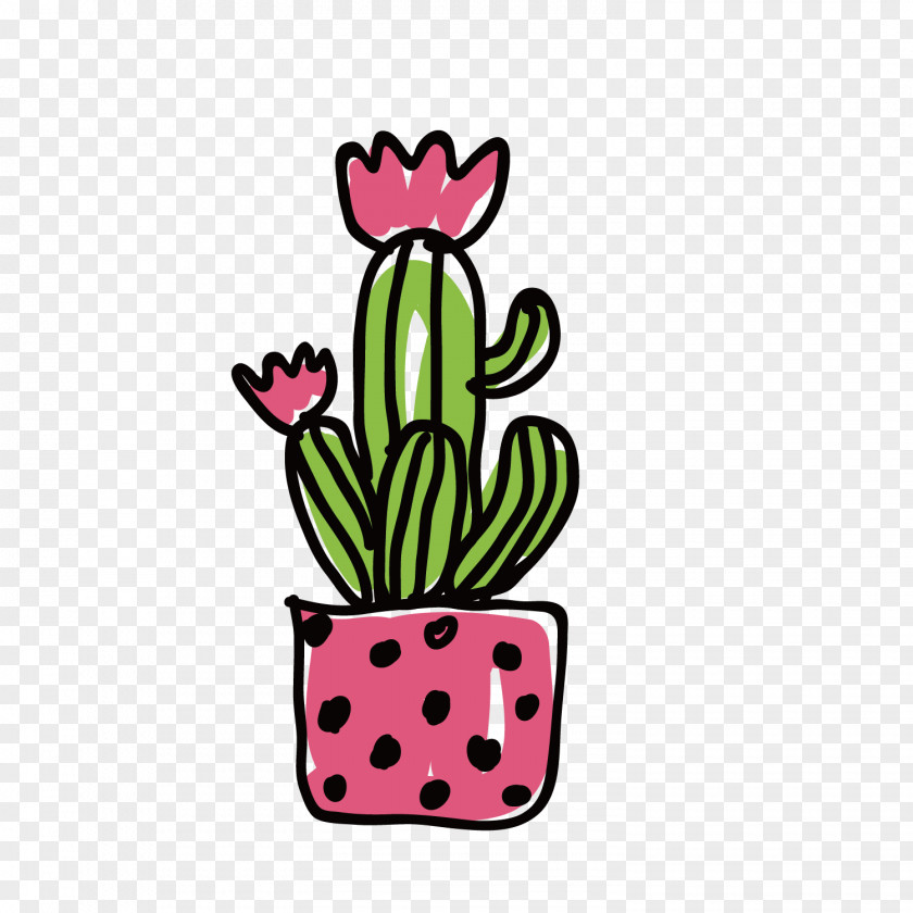 Vector Cactus Flower Illustration Cactaceae PNG