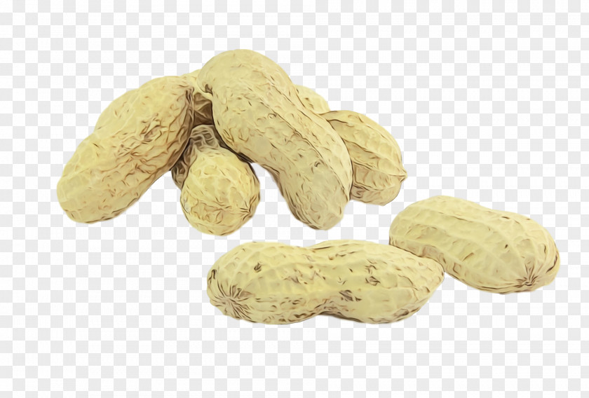 Vegetarian Cuisine Peanut Commodity Biscuit Vegetarianism PNG