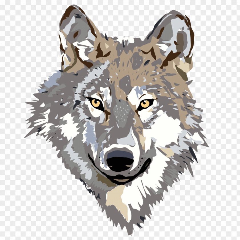 Big Bad Wolf Coyote Saarloos Wolfdog Little Red Riding Hood Clip Art PNG