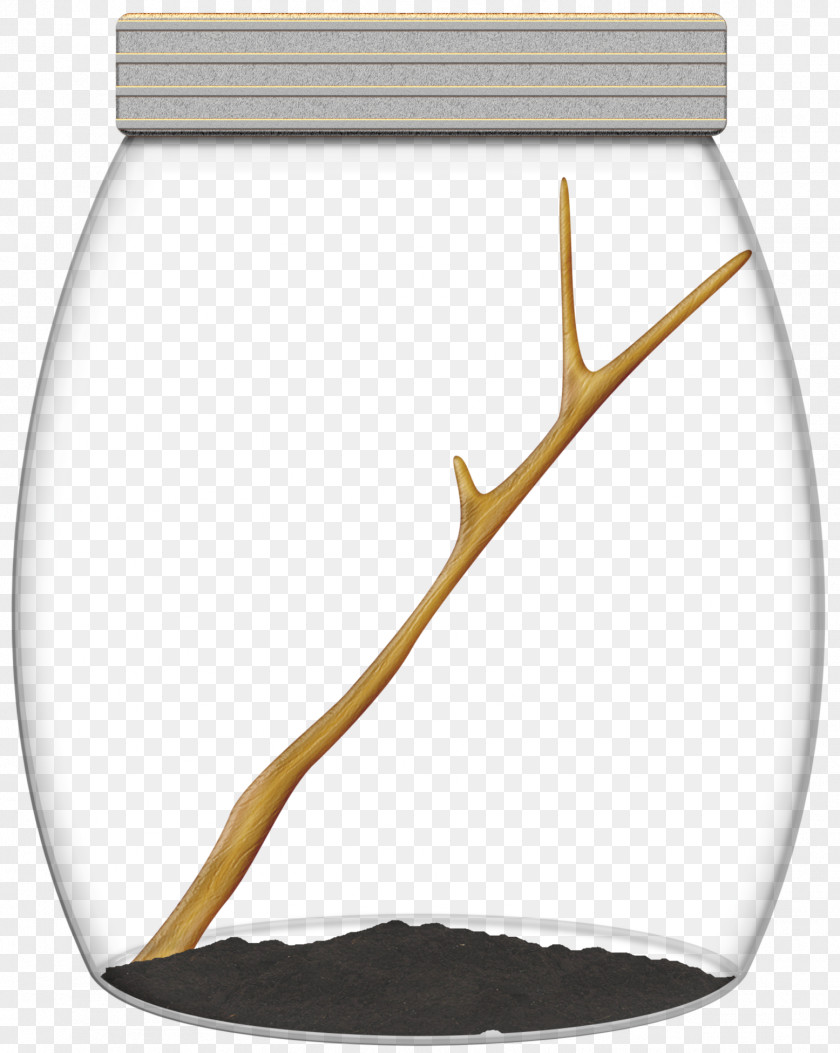 Bottle Transparency And Translucency Glass Clip Art PNG