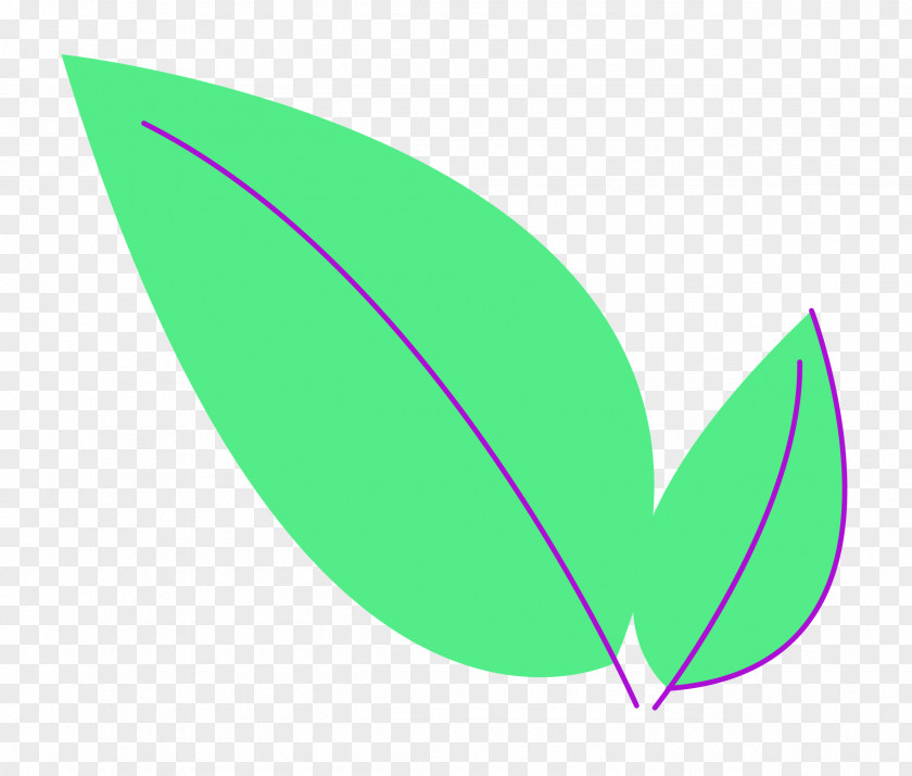 Leaf Font Green Line Meter PNG