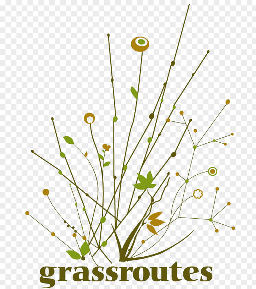 Unveiling Grassroutes Purushwadi Dehene Wanjulshet Camera And Shorts Western Ghats PNG
