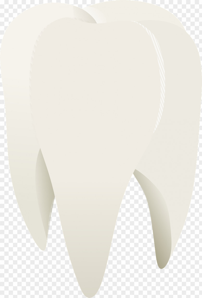 White Teeth Tooth Shoulder PNG