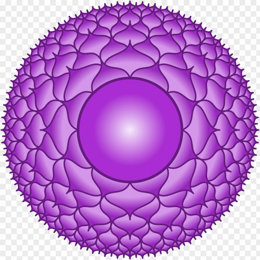 Chakra Sahasrara Vishuddha Muladhara Reiki PNG