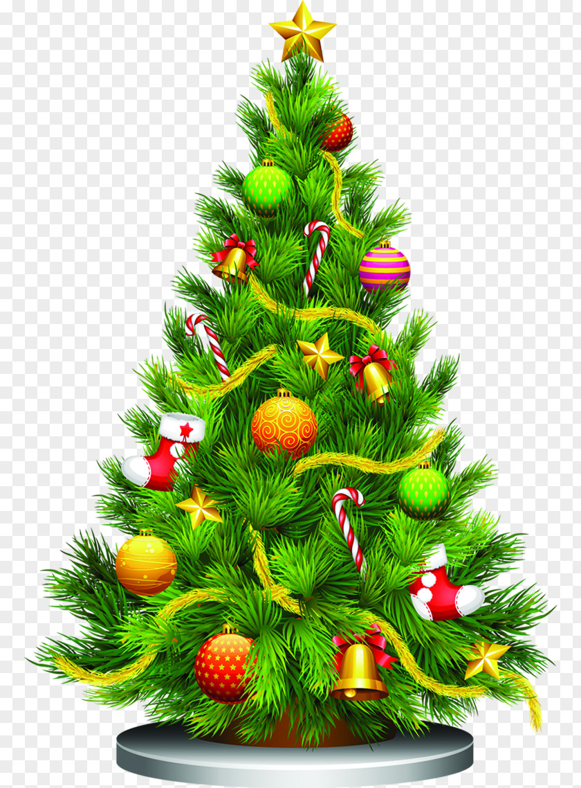 Creative Beautiful Green Christmas Tree Clip Art PNG