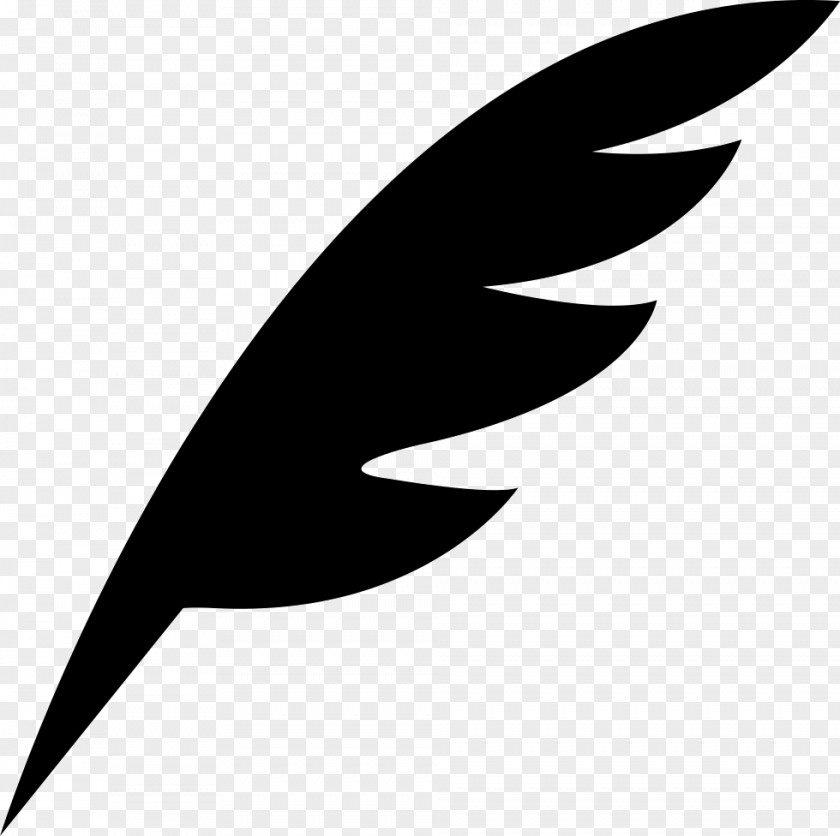 Feather Art Pen Translation Vector Graphics PNG